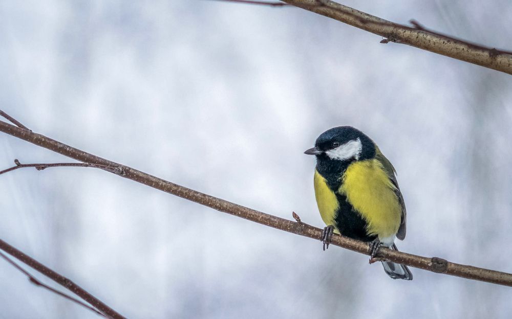 Photograph by Ясинский Юрий