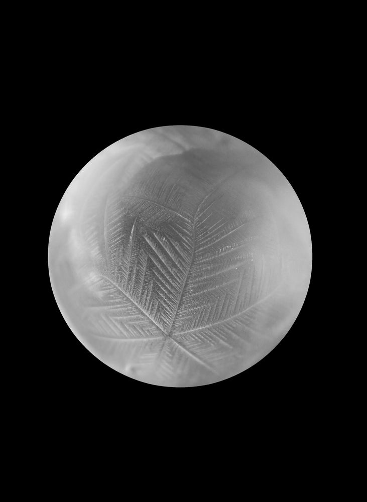 Фотография автора Анна Котлова