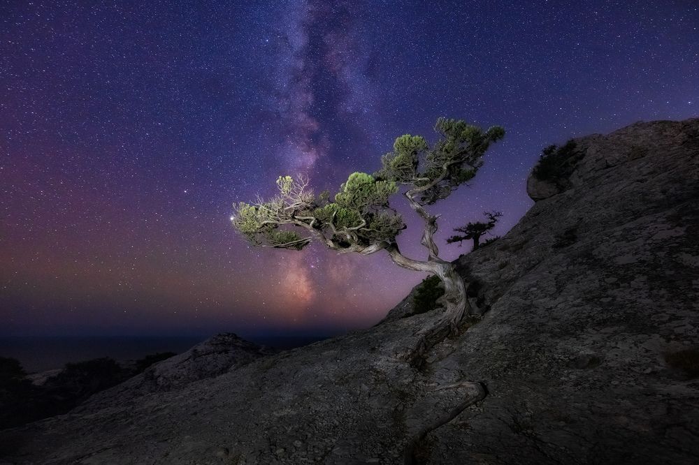 Photograph by Konstantin Voronov