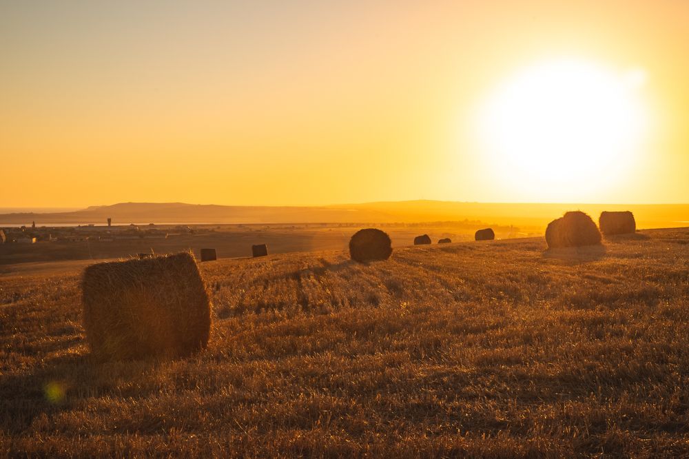 Photograph by Сергей Крюков