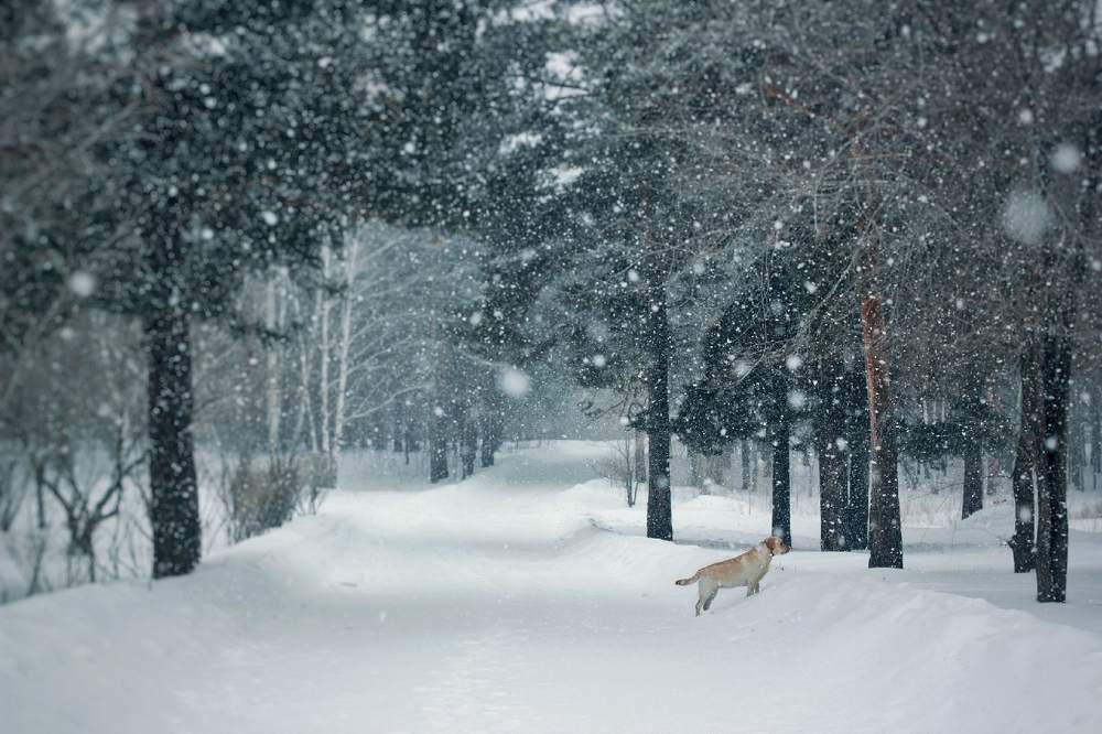 Photograph by Анна Киселёва