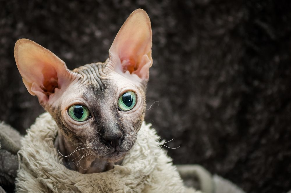 Photograph by Ясинский Юрий