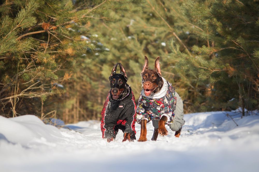 Photograph by Виктория Мамаева