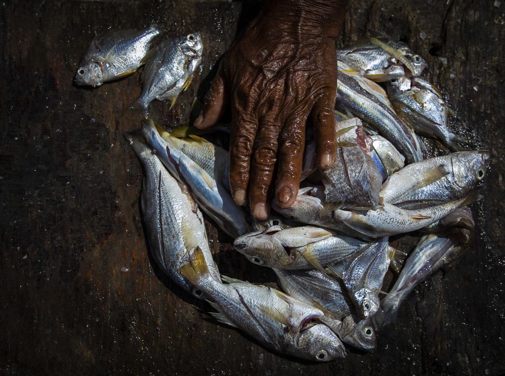 Dried and salted fish