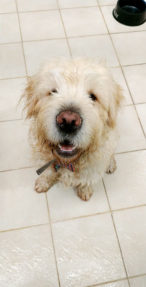 Фотография автора Alicia Rocca