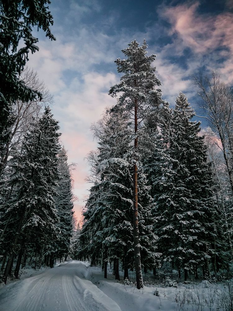 Photograph by Анастасия Стародубцева