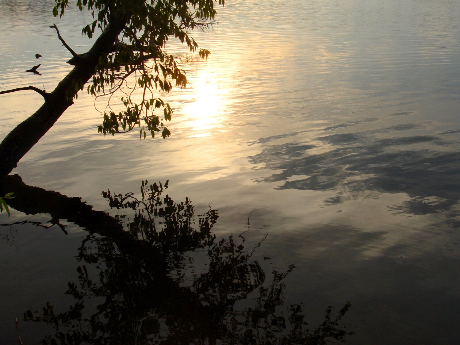Photo #5855801