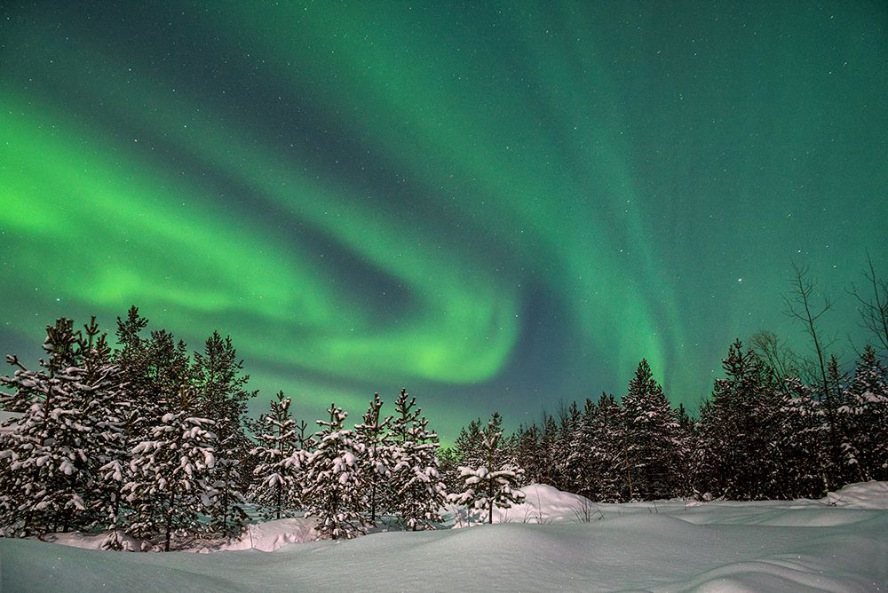 Photograph by Анна Мартынова