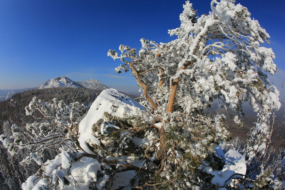 Photograph by Ирина Сушко