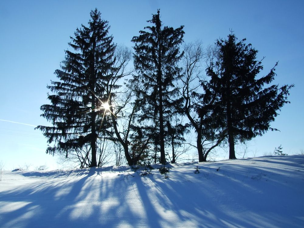 Photo #5855905