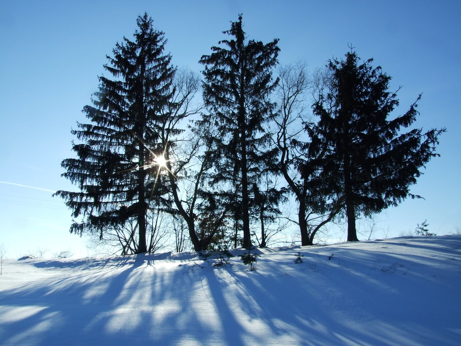 Photo #5855905