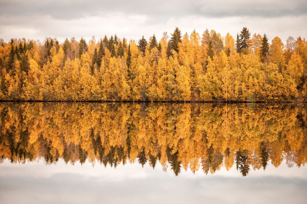 Photograph by Михаил Анастасьев