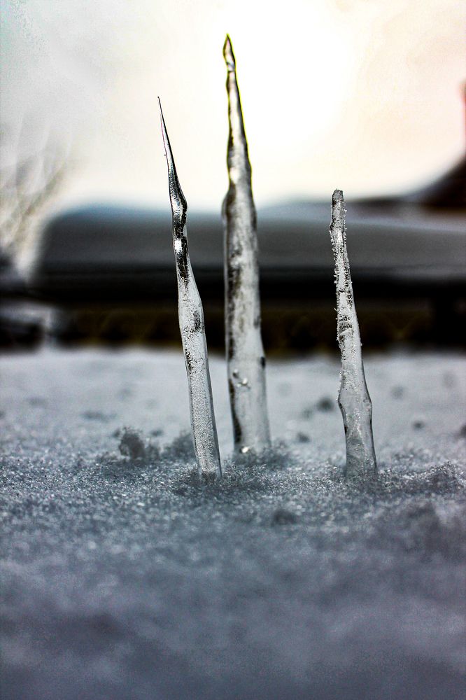 Photograph by Дарья Дрыночкина