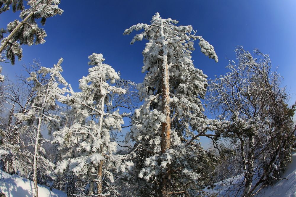 Photograph by Ирина Сушко