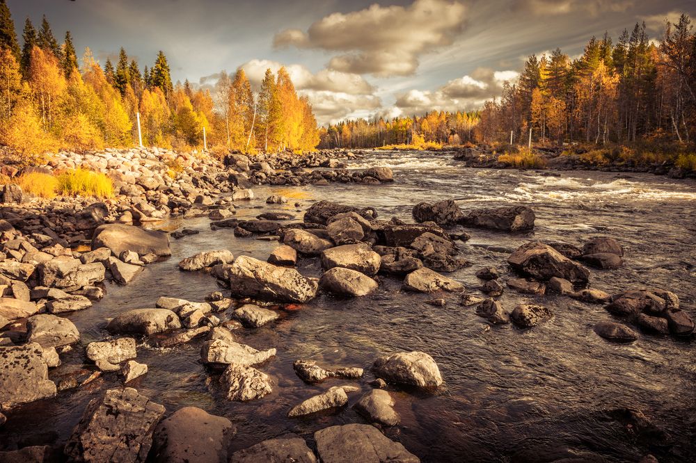 Photograph by Михаил Анастасьев