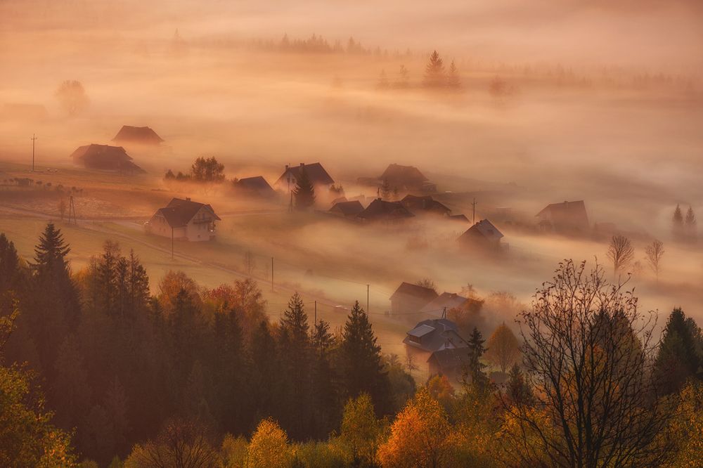 Photograph by Tomasz Wieczorek