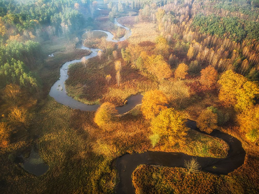 Photograph by Tomasz Wieczorek