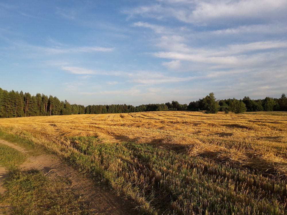 Photograph by Ирина Василевская