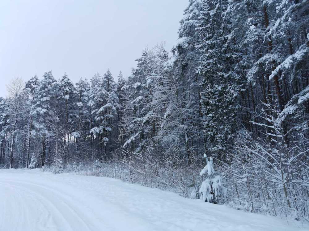 Photograph by Ирина Василевская