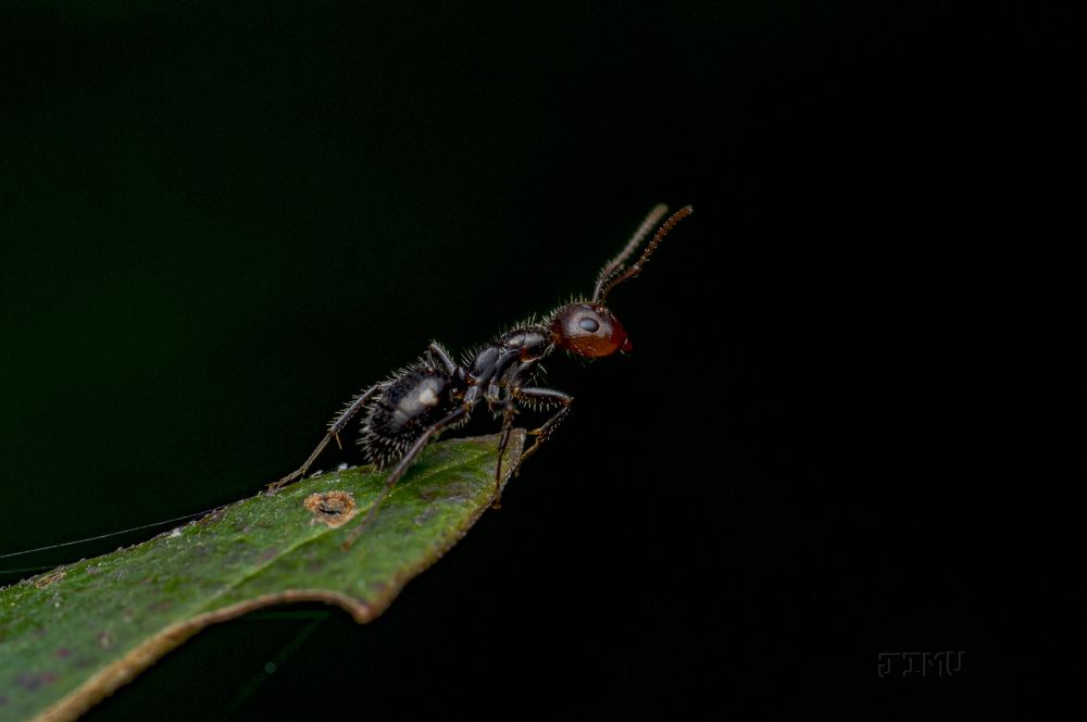 Photograph by Judá Isaí Martínez Uribe