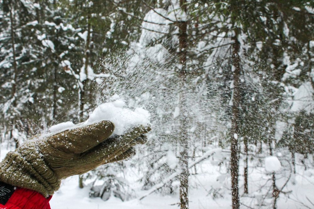 Photograph by Дарья Дрыночкина