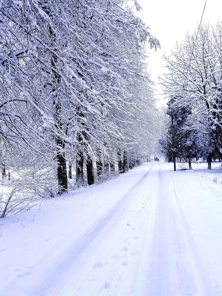 Photograph by Ирина Василевская