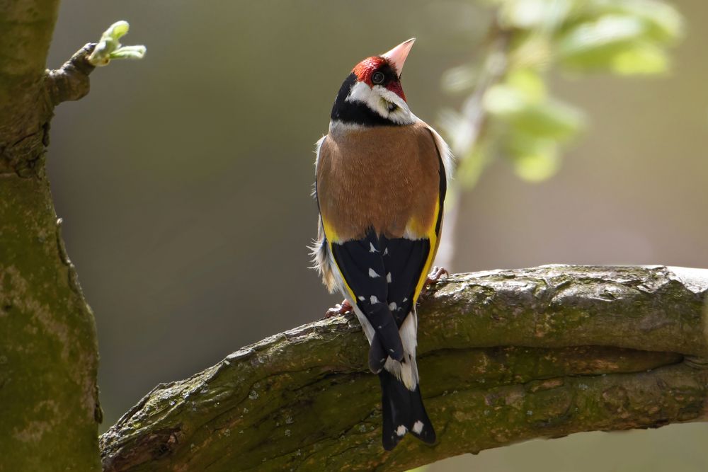 Photograph by Чернобай Анна