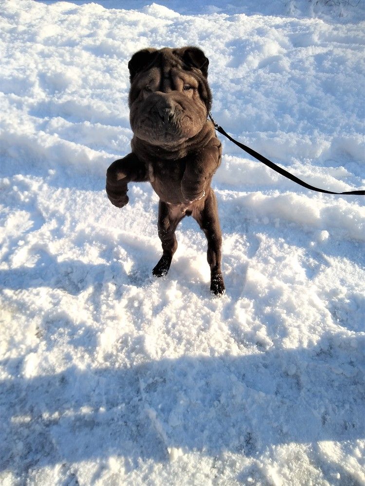 Photograph by Раиса Ламли