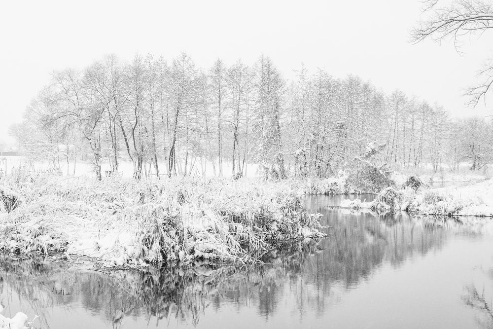 Photograph by Юрий Силин