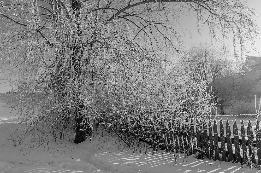 Photograph by Sergey L