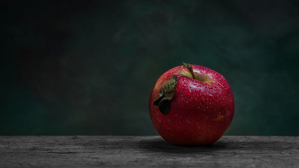 Photograph by Ayaz Mikayilzadeh