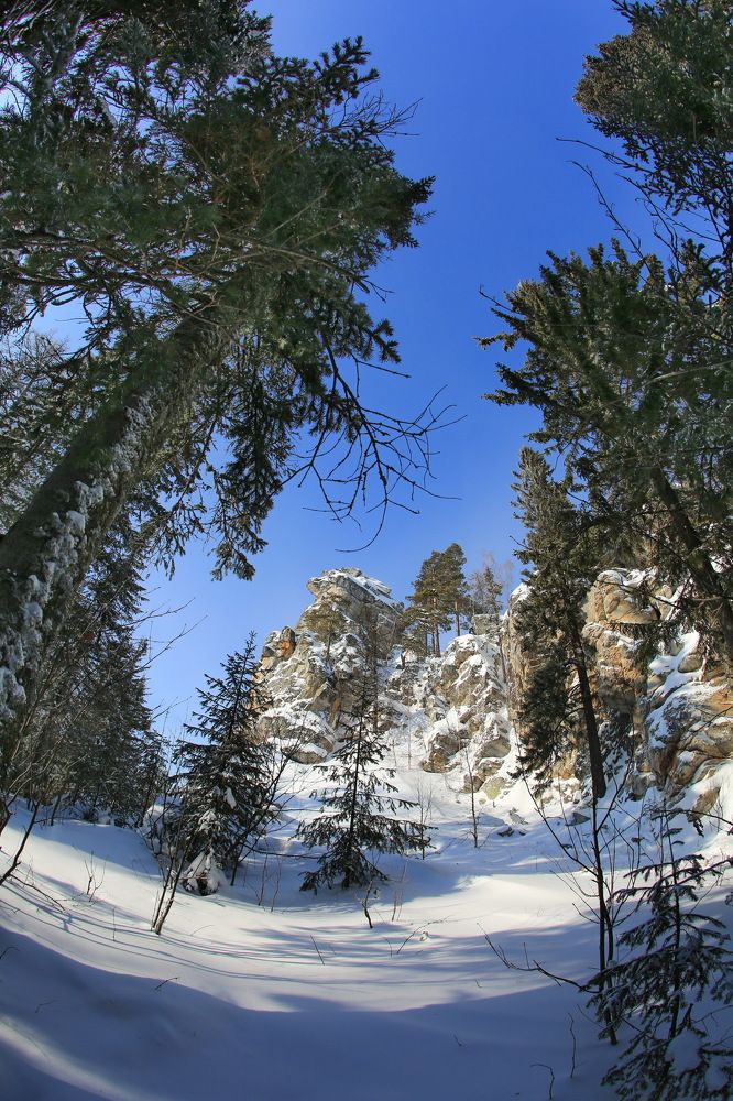 Photograph by Ирина Сушко