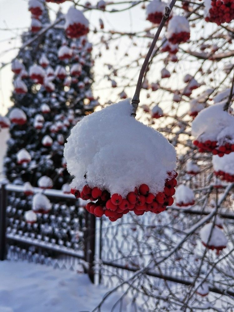 Photograph by Анатолий Толстопятов