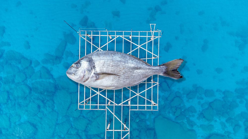 Photograph by Илья Почейкин