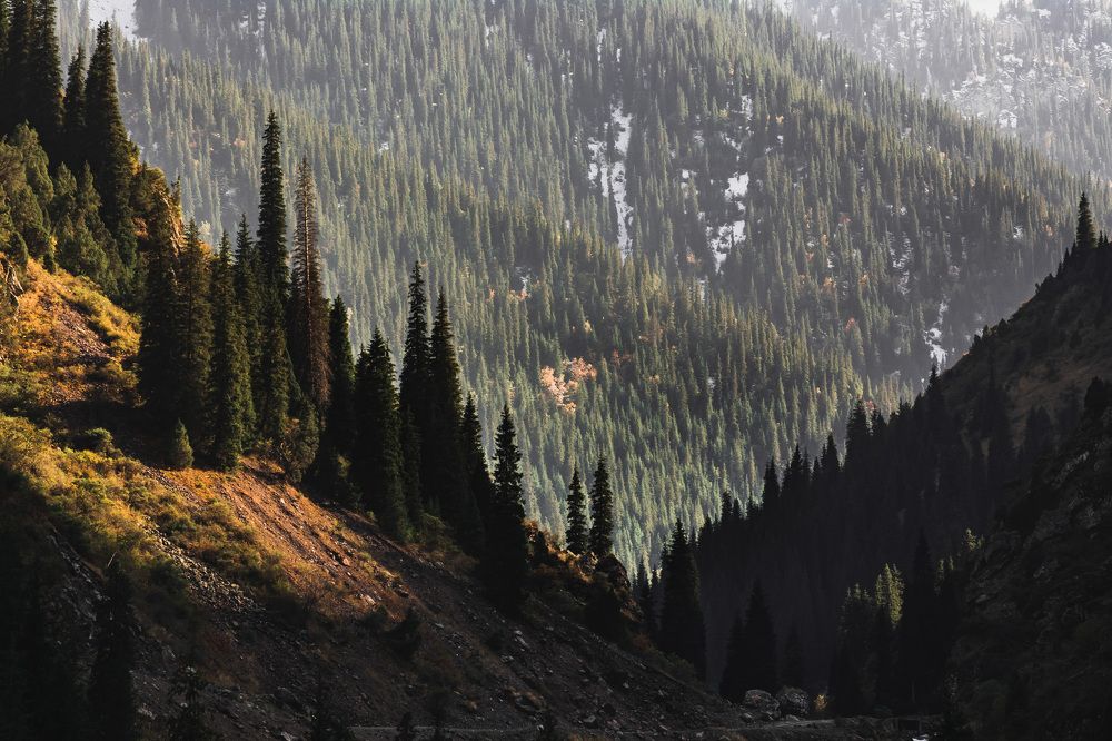 Photograph by Василий Шумкин