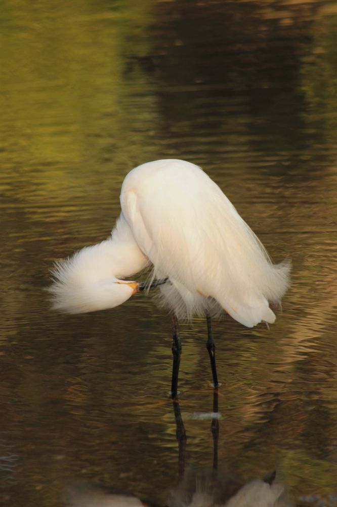 Photograph by Ricardo Venerando