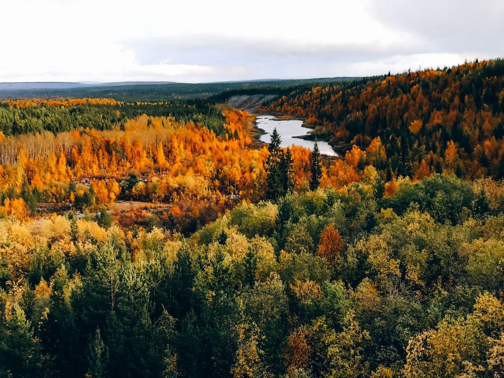 Палитра осени