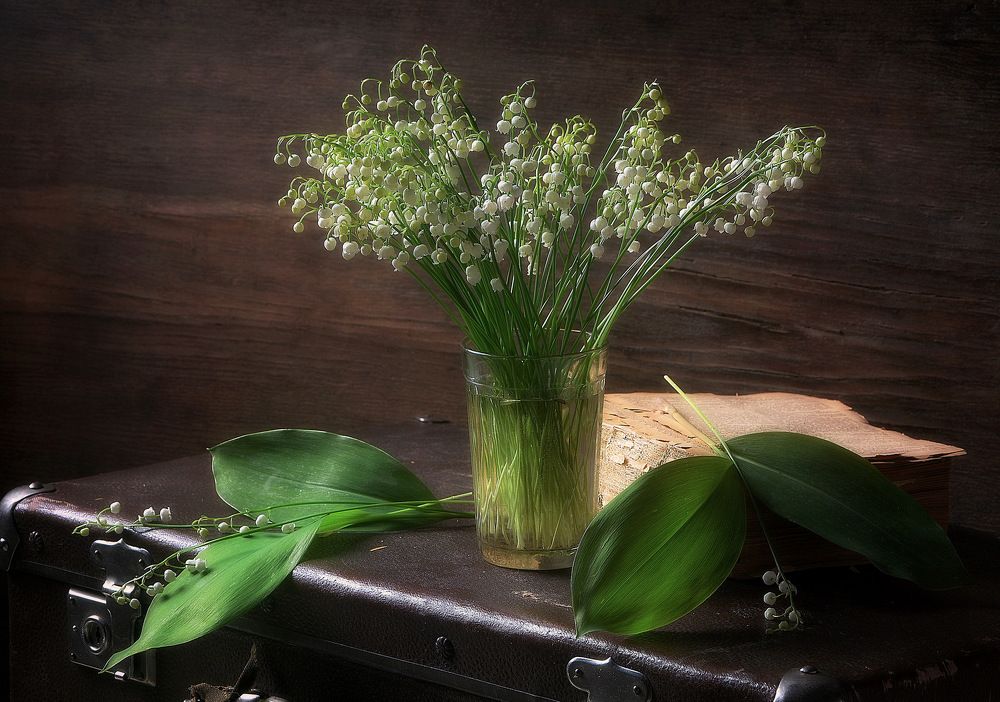 Photograph by Сергей Алексеев