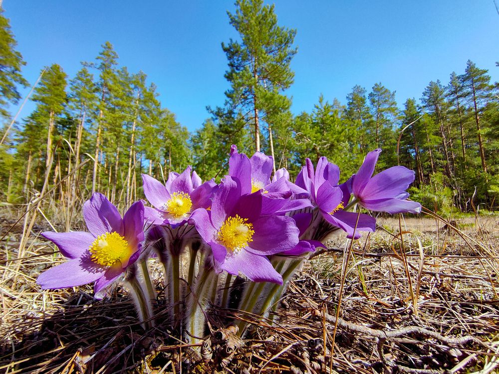 Photograph by Екатерина