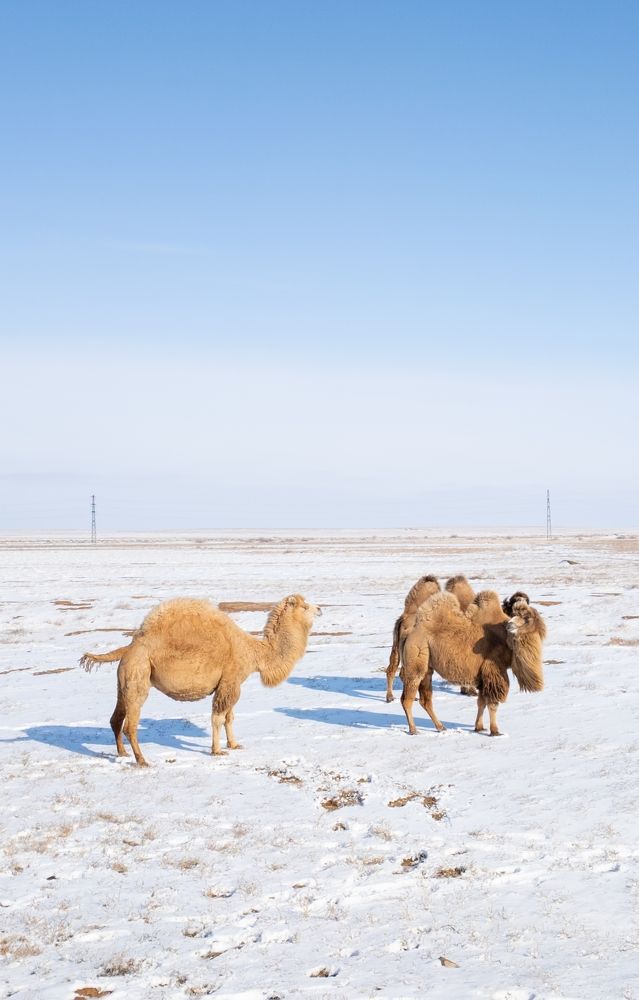 Photograph by Екатерина