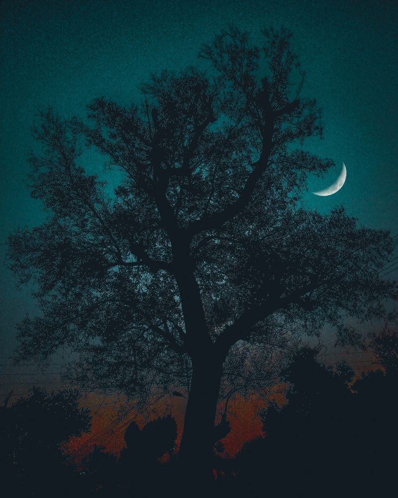 Photograph by Abdul Rehman Maan