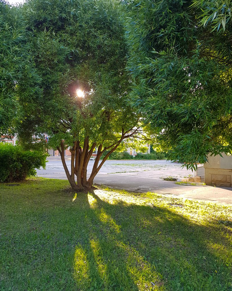 Photograph by Ирина Смирнова