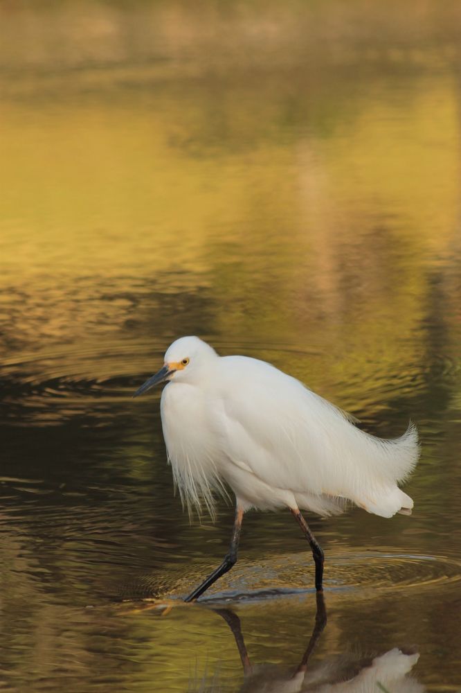 Photograph by Ricardo Venerando