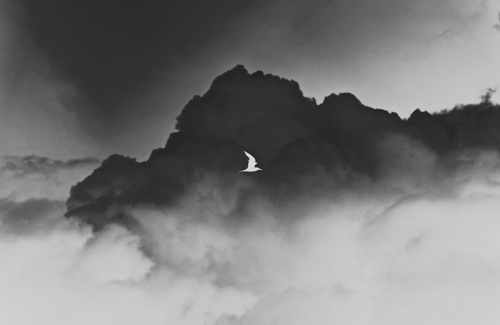 Фотография автора Evgeny Gorbunov