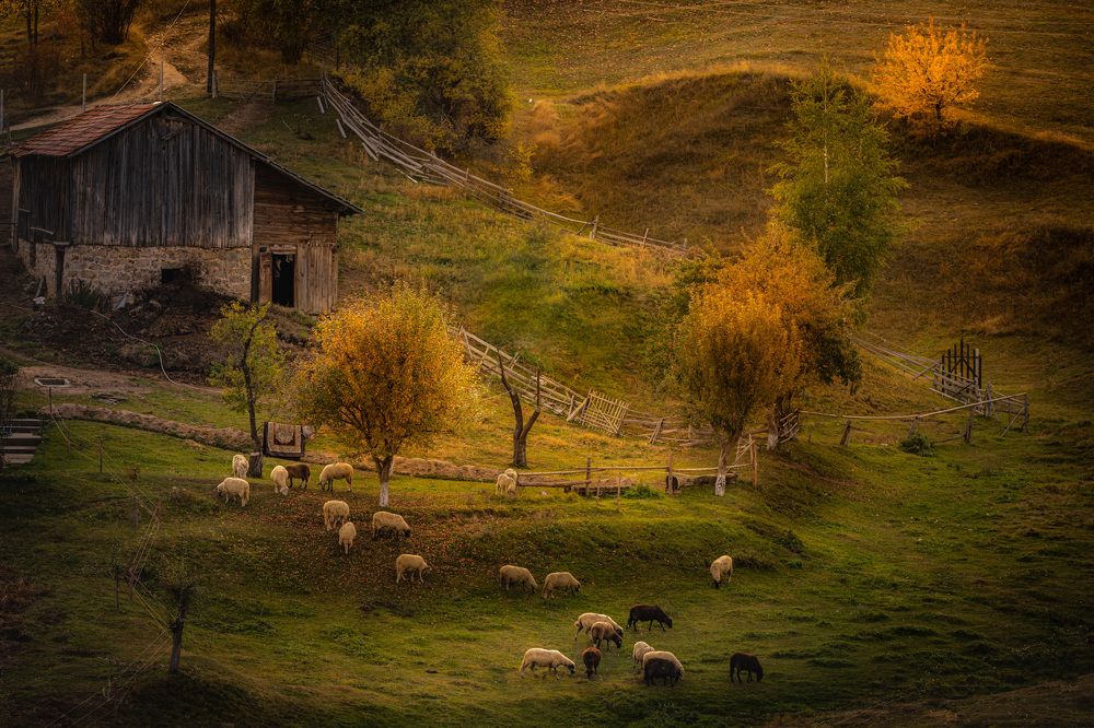 Photograph by Пламен Пенов