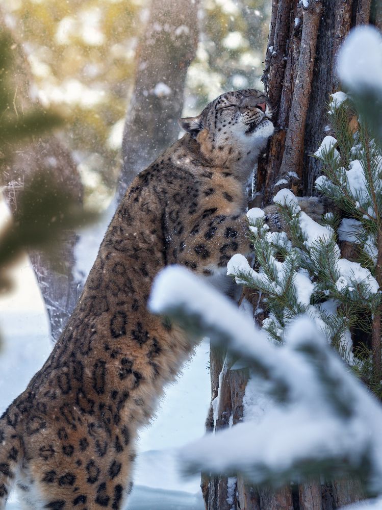 Photograph by Олег Богданов