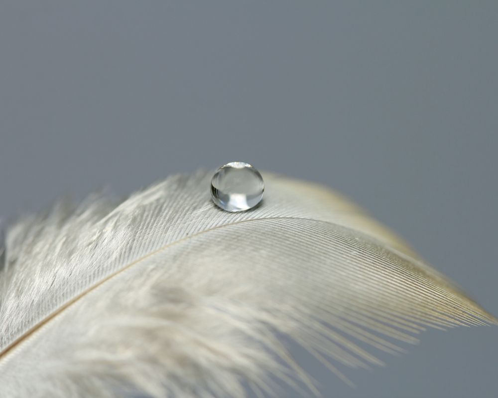 Photograph by CAROLINA BIANCHI