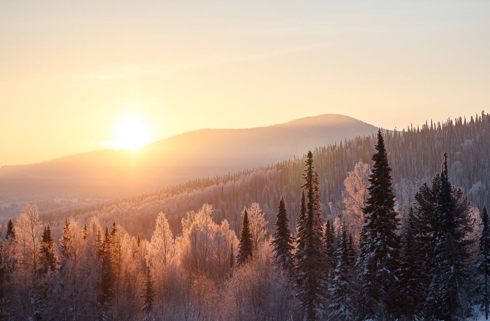 Photograph by Анастасия Стародубцева