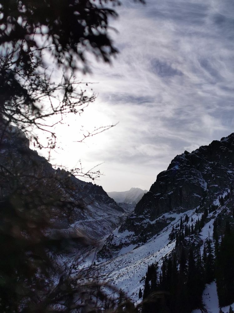 Photograph by Эльвира Ивченко