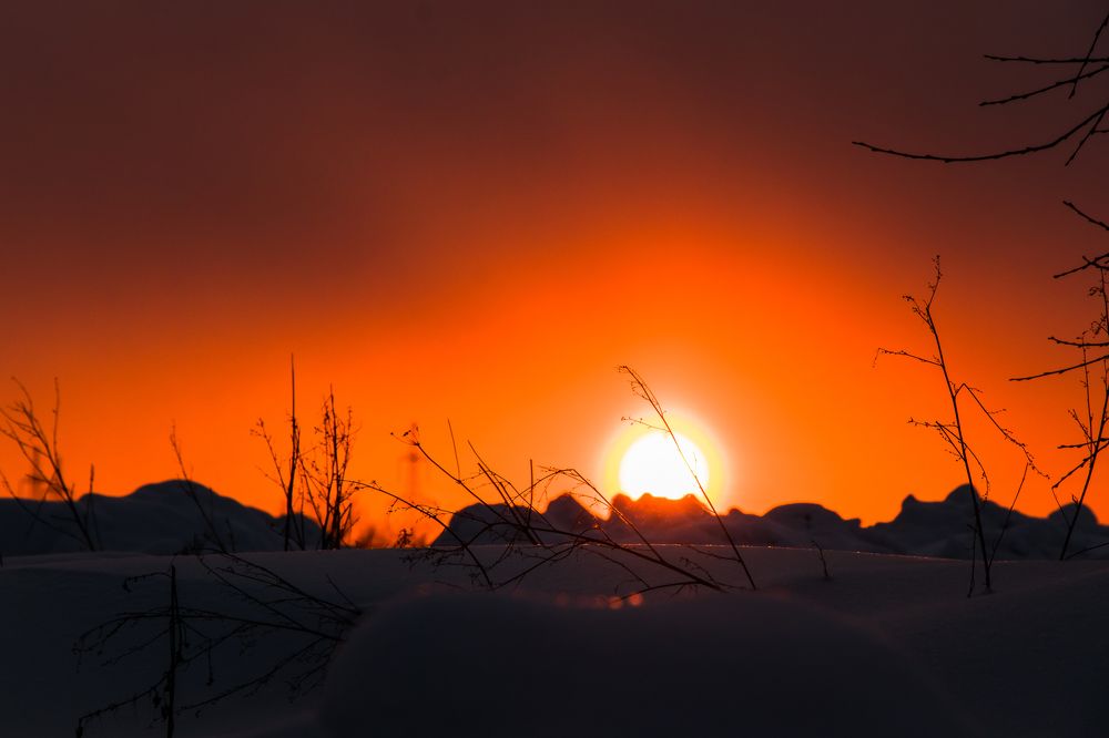 Photograph by Мария Тёмкина